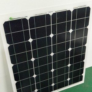 China Top 10 Mono-Crystalline 50W Solar Panel Wholesale to Lyon
